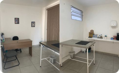 FerragutDiagnosticoVeterinario-AmbienteInterno-Jundiai
