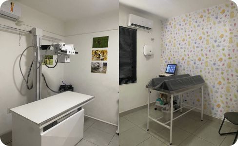 FerragutDiagnosticoVeterinario-EquipamentosModernos-Jundiai